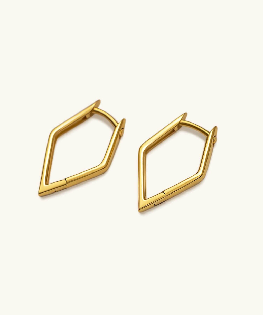 Sleek Earring